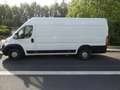 Opel Movano Kasten  35  L4H2 BlueHDI 140 White - thumbnail 6