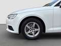 Audi A4 Avant 2,0 TDI Massage TÜV NEU Weiß - thumbnail 23