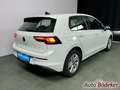 Volkswagen Golf Lim.1.5 TSI 6-Gang Life Garantie b.15.8.29 / Blanc - thumbnail 8