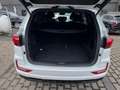 KGM Rexton LUX - Sondermodel BLACK. Bei uns sofort lieferbar Blanc - thumbnail 13