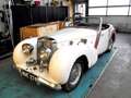 Triumph 2000 Roadster 1948 Blanc - thumbnail 15