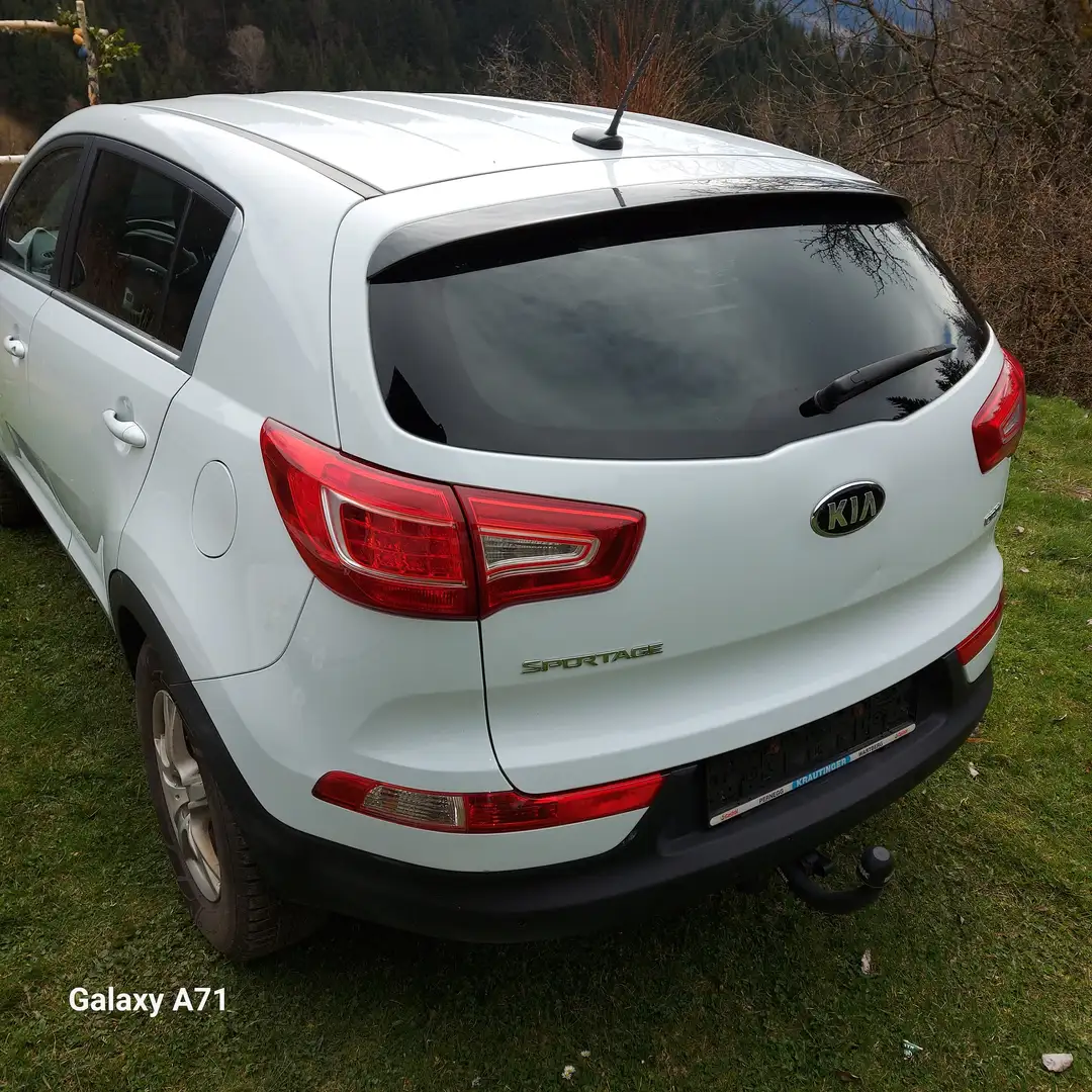 Kia Sportage Cool 2,0 CRDi AWD Österreich-Paket Weiß - 2