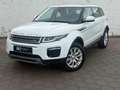 Land Rover Range Rover Evoque SE (1.Hand,Navi,Leder,Xenon) Bianco - thumbnail 1