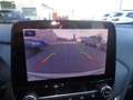 Ford Puma Puma 1.0 ecoboost h ST-Line X solo 36.600KM Bianco - thumbnail 14