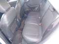 Ford Puma Puma 1.0 ecoboost h ST-Line X solo 36.600KM Bianco - thumbnail 12