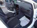 Ford Puma Puma 1.0 ecoboost h ST-Line X solo 36.600KM Bianco - thumbnail 10