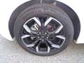 Ford Puma Puma 1.0 ecoboost h ST-Line X solo 36.600KM Bianco - thumbnail 15