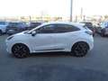 Ford Puma Puma 1.0 ecoboost h ST-Line X solo 36.600KM Bianco - thumbnail 8