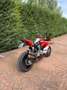 Ducati 959 Panigale Corse Rosso - thumbnail 2