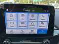 Ford Fiesta Cool & Connect SHZ PDC Beh. Frotscheibe Gris - thumbnail 12