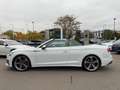 Audi S5 3.0 TFSI quattro MATRIX-LED KAMERA Weiß - thumbnail 17