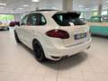 Porsche Cayenne 3.0 No superbollo Blanc - thumbnail 7