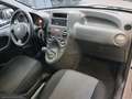 Fiat Panda 1.2 Dynamic Euro 5 Bianco - thumbnail 9