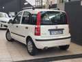 Fiat Panda 1.2 Dynamic Euro 5 Bianco - thumbnail 4