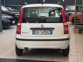 Fiat Panda 1.2 Dynamic Euro 5 Bianco - thumbnail 5