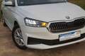 Skoda Fabia Active +Alu+PDC+App-Connect+ Weiß - thumbnail 27