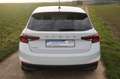Skoda Fabia Active +Alu+PDC+App-Connect+ Weiß - thumbnail 5