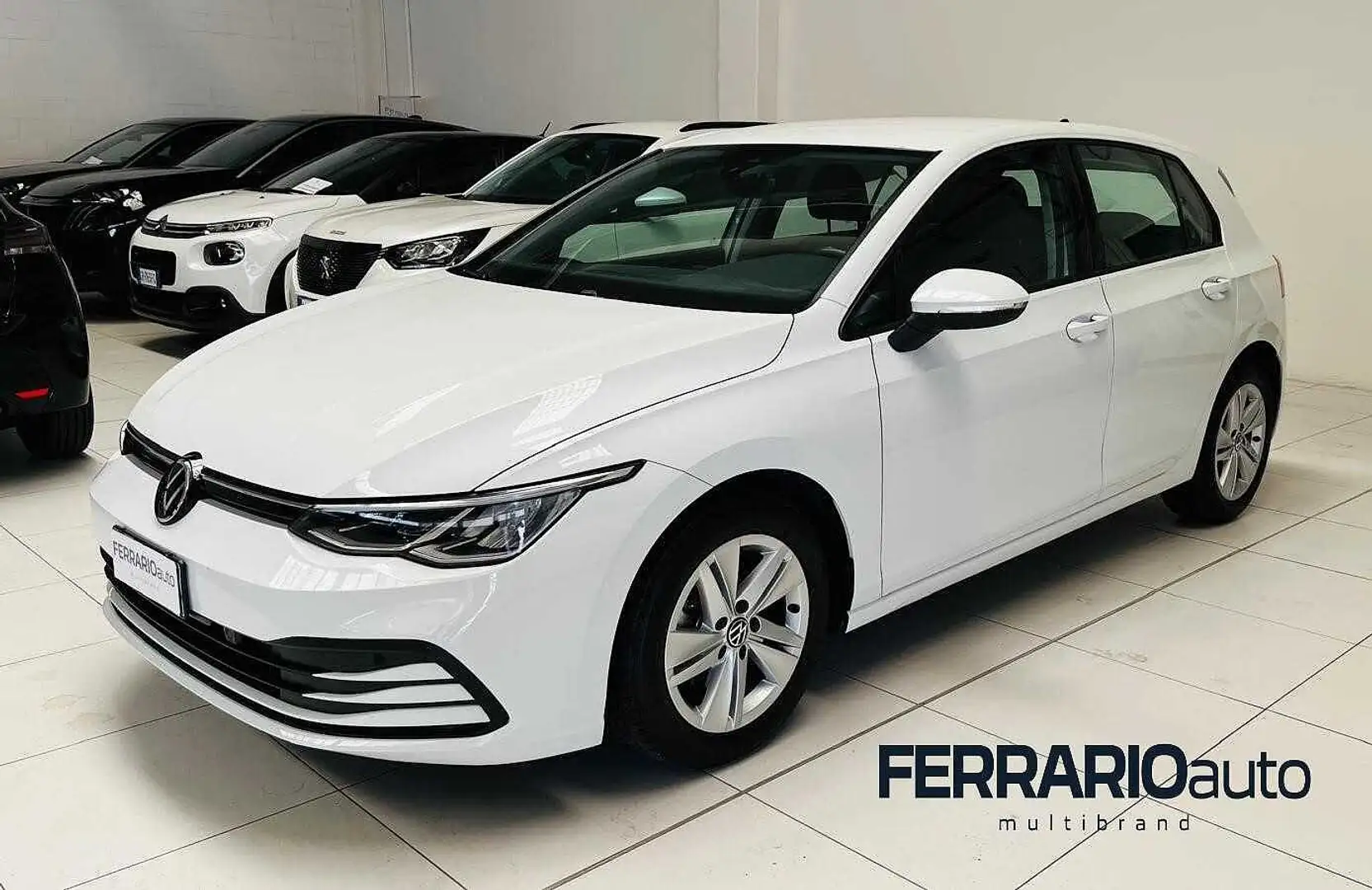 Volkswagen Golf 8ª serie 1.0 TSI EVO Life Bianco - 1