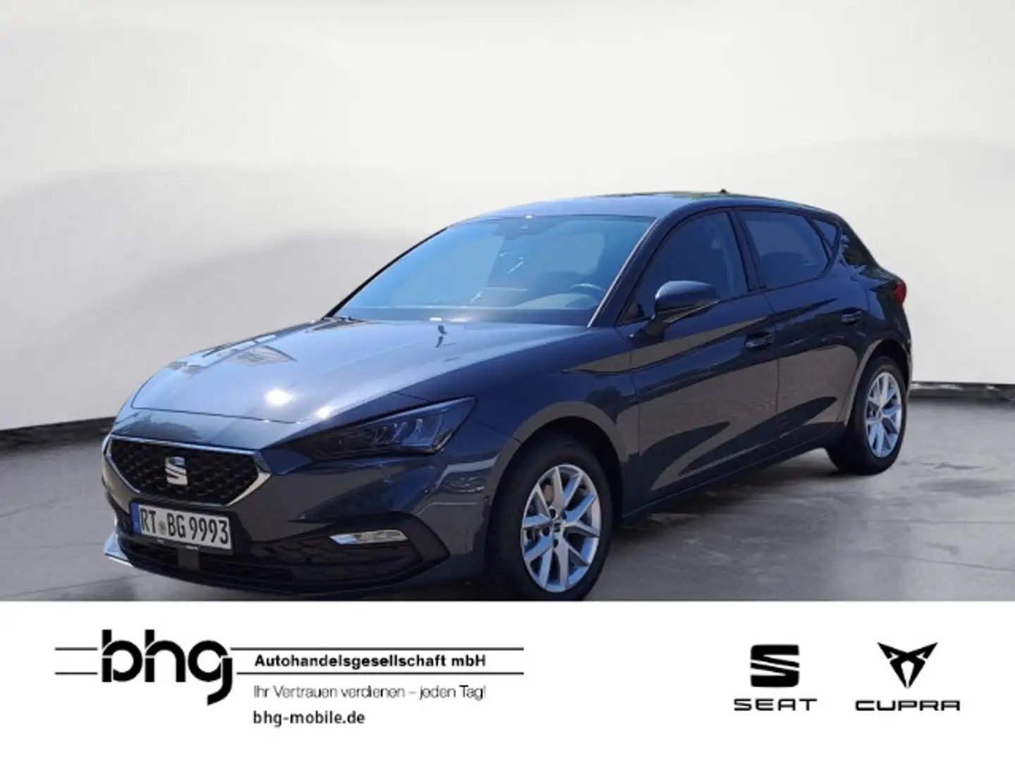 SEAT Leon . Grau - 1