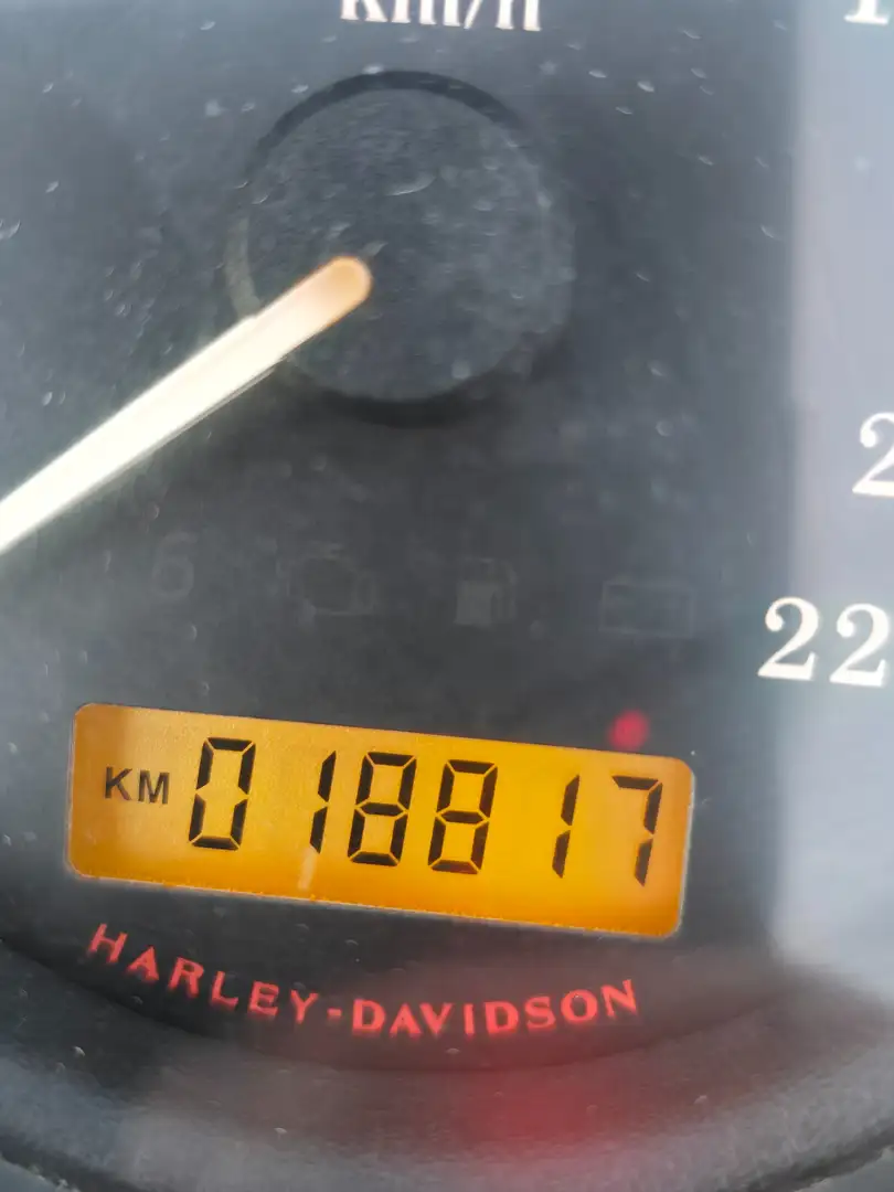 Harley-Davidson Sportster 1200 Fortyeight Negro - 1