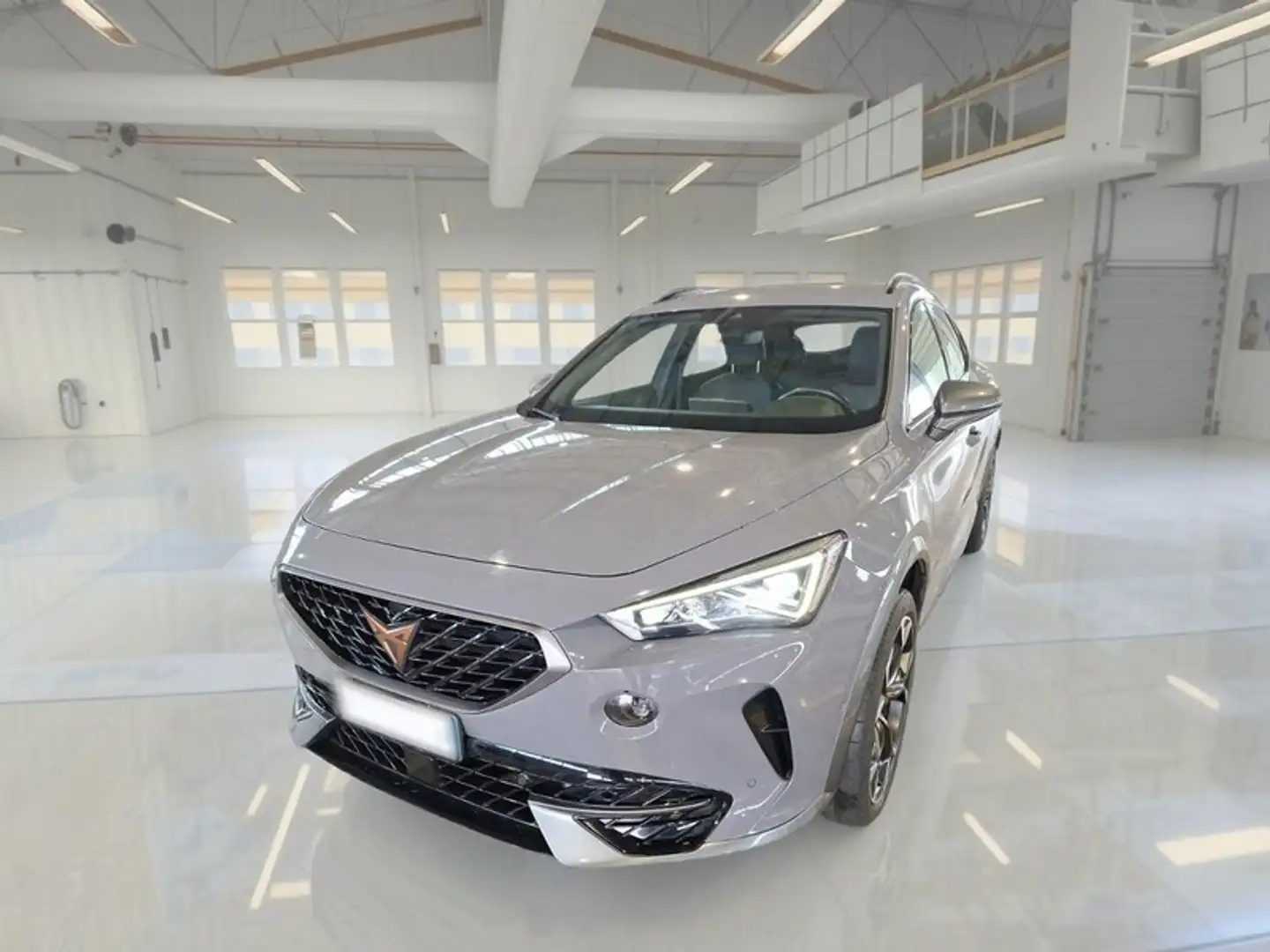 CUPRA Formentor 2.0 TDI - 1