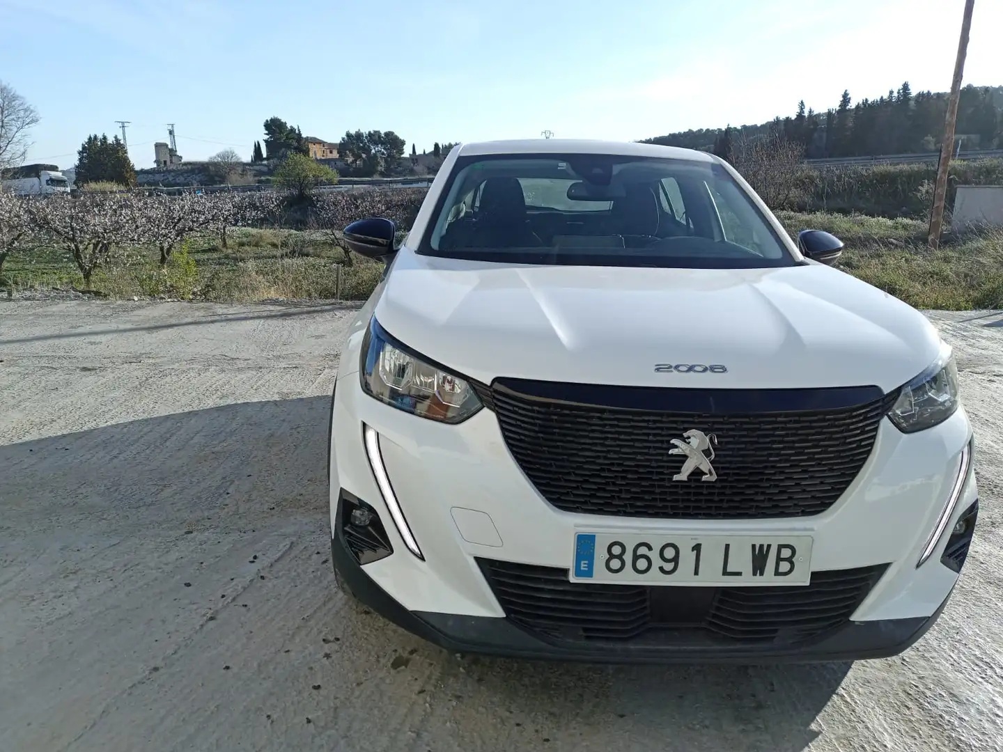 Peugeot 2008 1.5BlueHDi S&S Active Pack 110 - 2