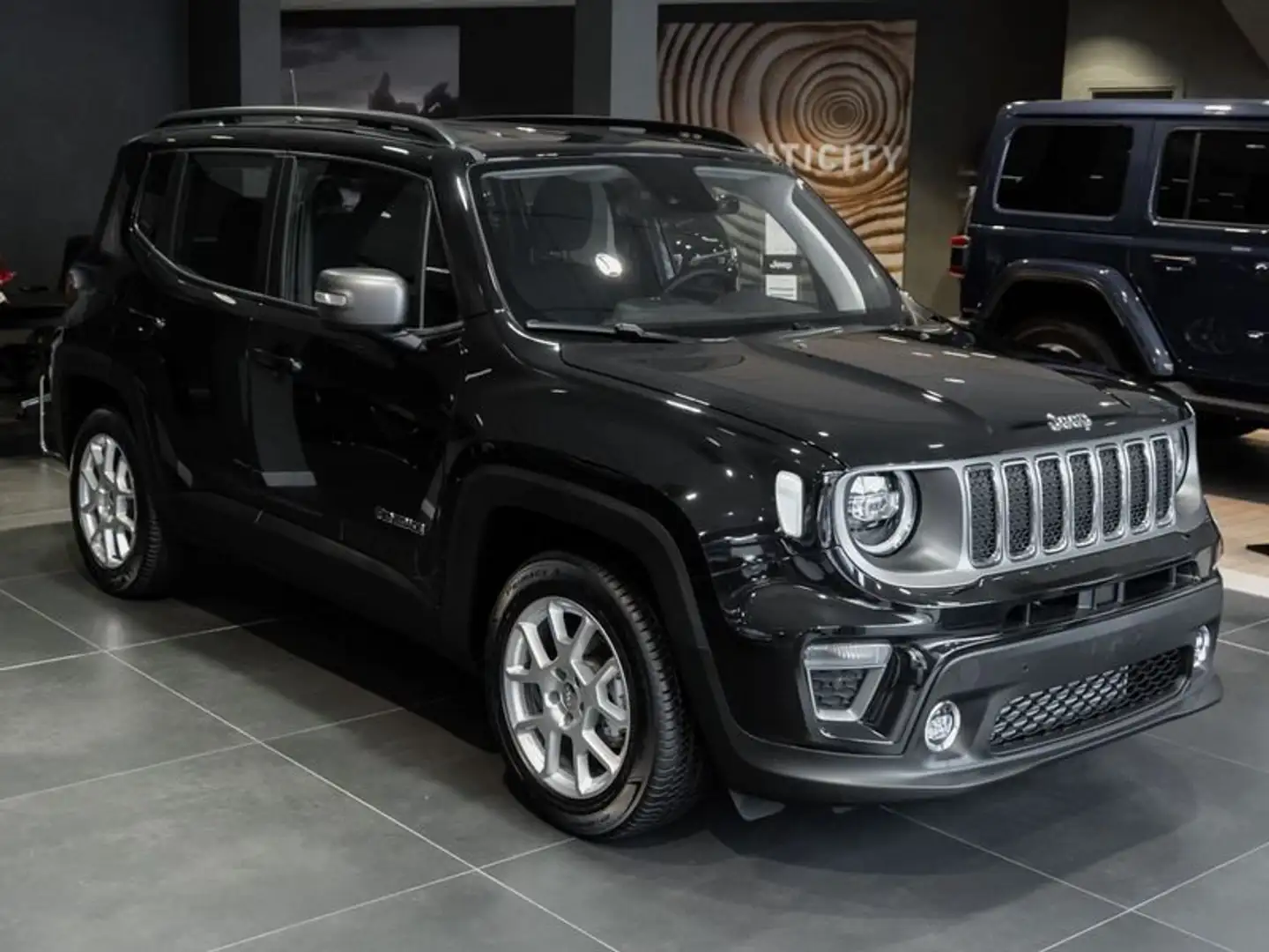 Jeep Renegade 1.6 Mjt 130 CV Limited Grijs - 2