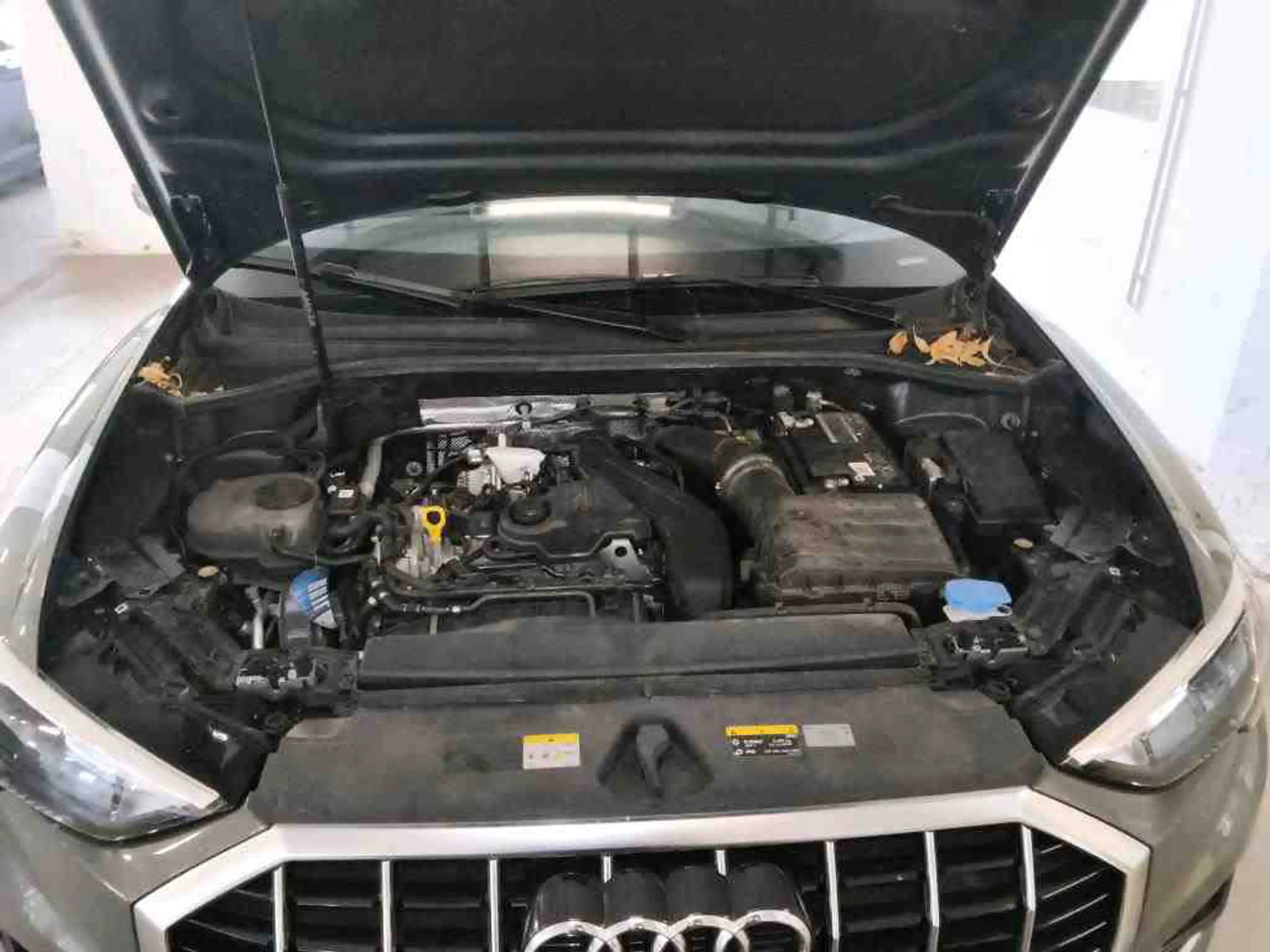 Audi Q3 — photo 11
