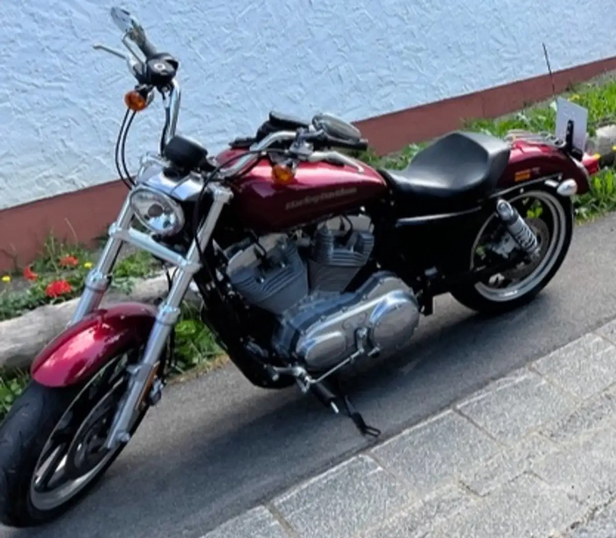 Harley-Davidson Sportster XL 883 Rot - 1