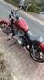 Harley-Davidson Sportster XL 883 Rot - thumbnail 6