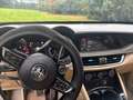Alfa Romeo Stelvio 2.2 TD 210CV AT8 Q4 VELOCE Vert - thumbnail 14
