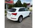 Audi Q5 2.0 TDI quattro Weiß - thumbnail 6