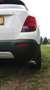 Chevrolet Trax Trax 1.7TD AutomatikLT+ Wit - thumbnail 16