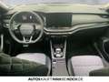 Skoda Octavia Combi 2.0 TDI DSG Sportl.AHZV MATRIX NAV Grau - thumbnail 9