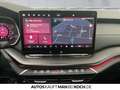 Skoda Octavia Combi 2.0 TDI DSG Sportl.AHZV MATRIX NAV Grau - thumbnail 13