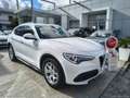 Alfa Romeo Stelvio 2.2 T.diesel 160CV AT8 RWD Bus. AUTOCARRO Bianco - thumbnail 1