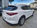 Alfa Romeo Stelvio 2.2 T.diesel 160CV AT8 RWD Bus. AUTOCARRO Bianco - thumbnail 6