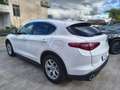 Alfa Romeo Stelvio 2.2 T.diesel 160CV AT8 RWD Bus. AUTOCARRO Bianco - thumbnail 4