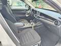 Alfa Romeo Stelvio 2.2 T.diesel 160CV AT8 RWD Bus. AUTOCARRO Bianco - thumbnail 10