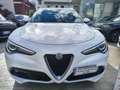 Alfa Romeo Stelvio 2.2 T.diesel 160CV AT8 RWD Bus. AUTOCARRO Bianco - thumbnail 2