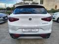 Alfa Romeo Stelvio 2.2 T.diesel 160CV AT8 RWD Bus. AUTOCARRO Bianco - thumbnail 5