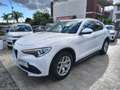 Alfa Romeo Stelvio 2.2 T.diesel 160CV AT8 RWD Bus. AUTOCARRO Bianco - thumbnail 3