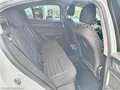 Alfa Romeo Stelvio 2.2 T.diesel 160CV AT8 RWD Bus. AUTOCARRO Bianco - thumbnail 9