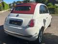 Fiat 500 Cabrio Edition*Elk.Fenster*Pdc.Hinten Wit - thumbnail 5