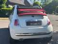 Fiat 500 Cabrio Edition*Elk.Fenster*Pdc.Hinten Wit - thumbnail 10
