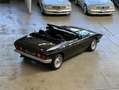 TVR Schwarz - thumbnail 15