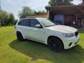 BMW X5 X5 Diesel xDrive40d Weiß - thumbnail 2