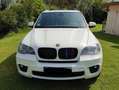 BMW X5 X5 Diesel xDrive40d Weiß - thumbnail 3