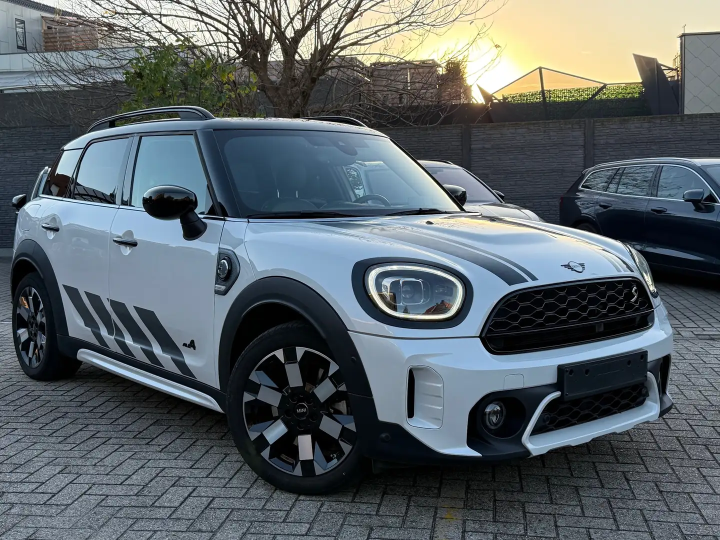 MINI Cooper SE Countryman All4 Aut. MINI Untamed Edition "Pano Dak/ACC" Zilver - 1
