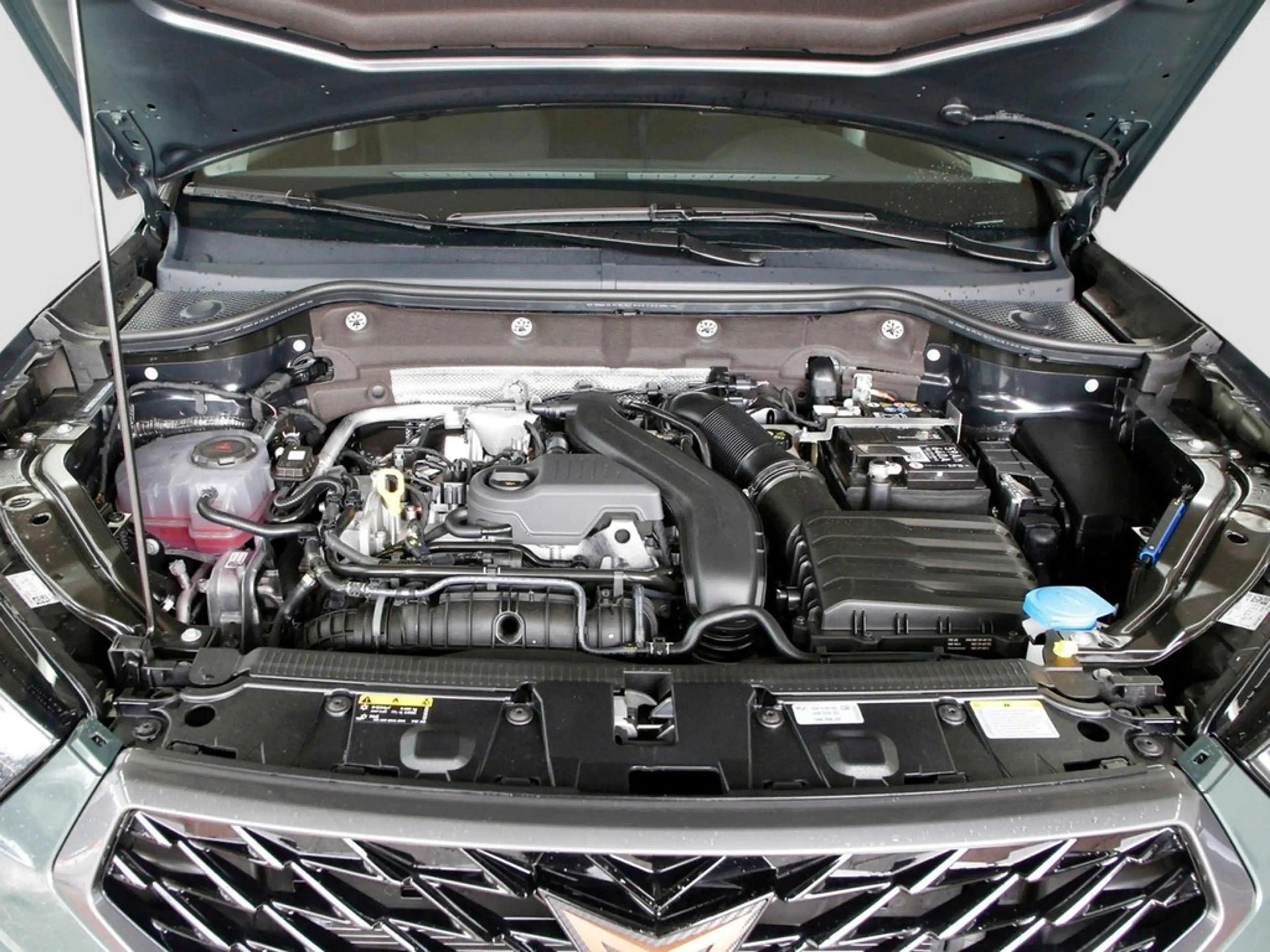 CUPRA Ateca 1.5 TSI Sie sparen 16.770 ATZ — photo 7
